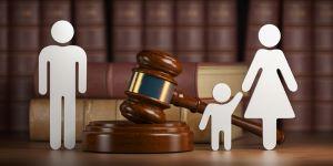 DuPage County parenting plan lawyer