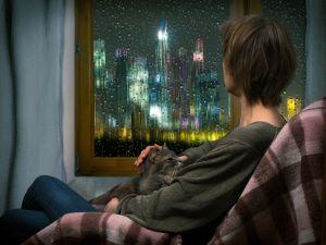 DuPage County property division lawyer for pet ownership