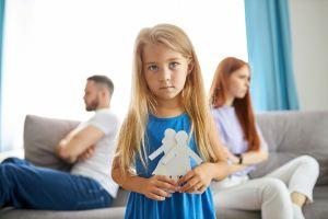 DuPage County child custody dispute lawyer