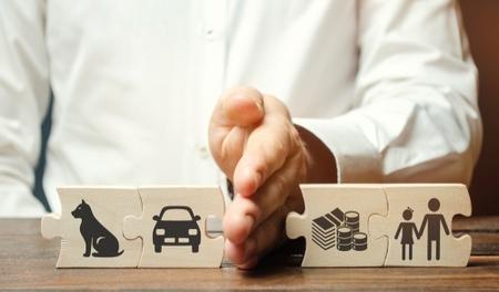 Lombard divorce pet ownership lawyer